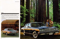 1981 Buick Full Line Prestige-18-19.jpg